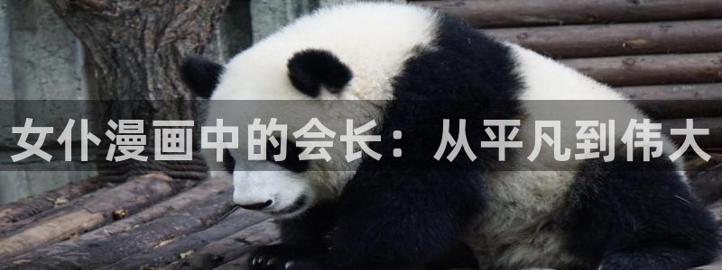 漫画推荐言情韩漫