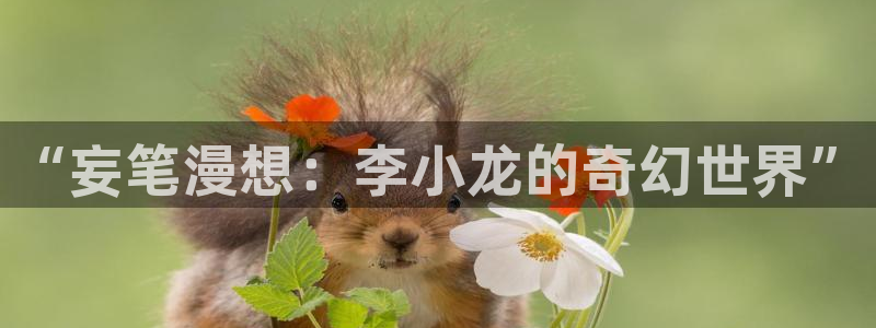 韩漫虚空漫画网